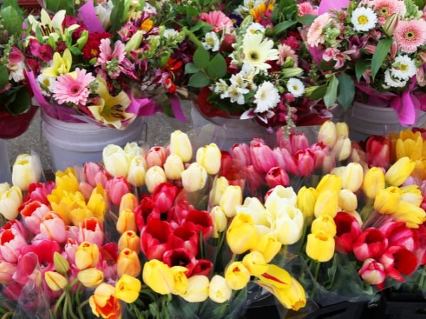 ventajas-del-transporte-refrigerado-de-flores-3775.jpg