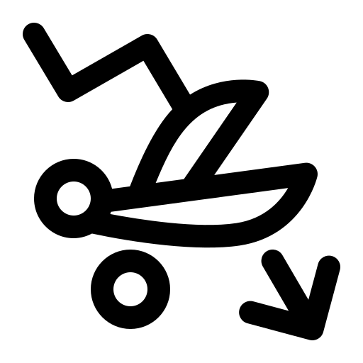 corte_4284.png